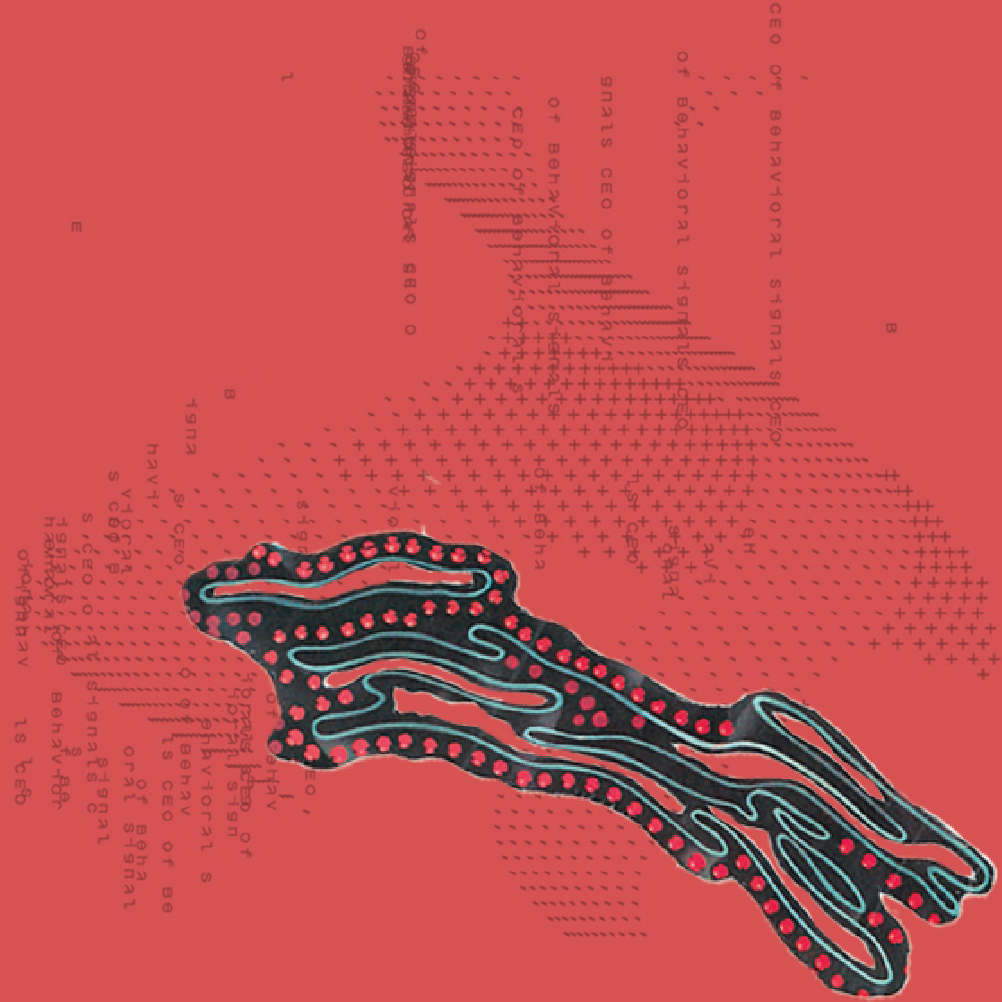 Antecedentes del Proyecto